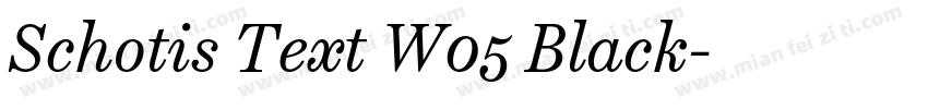 Schotis Text W05 Black字体转换